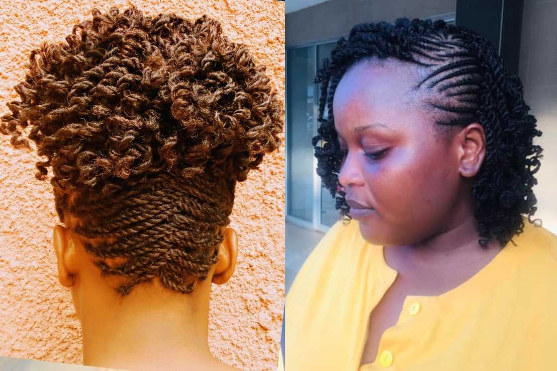 Afro twist braids Afro twist braids