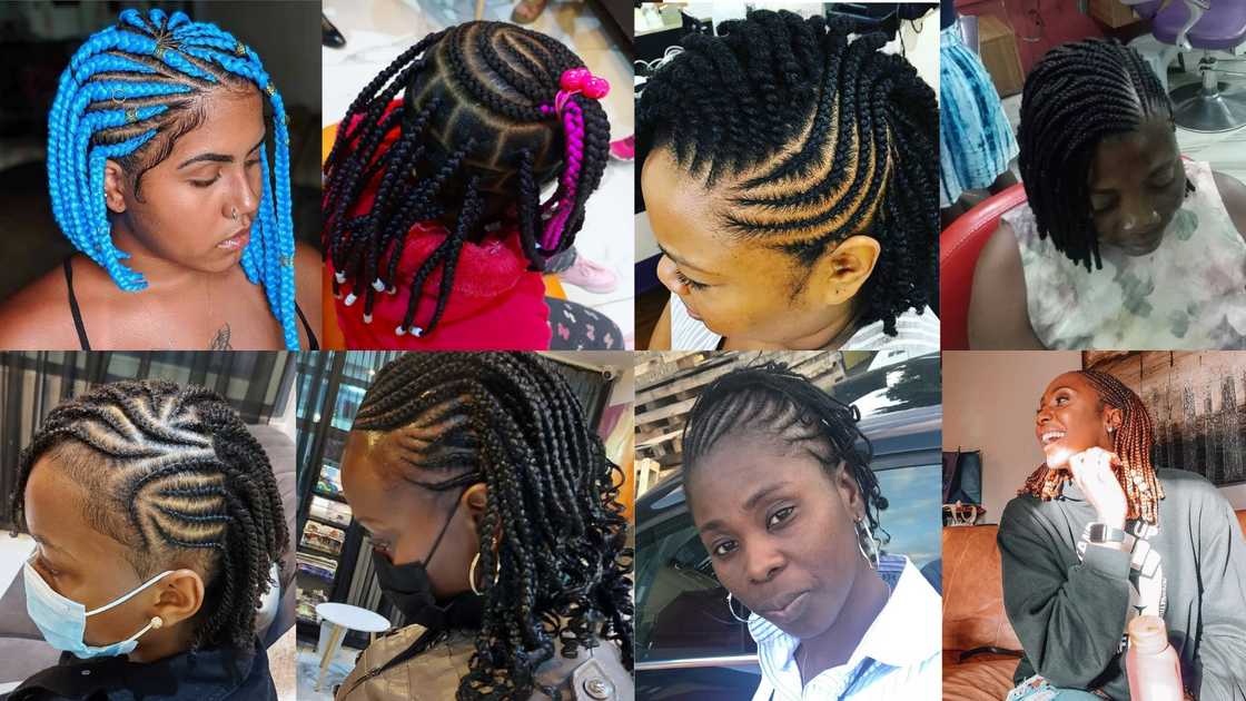 short cornrow rasta styles