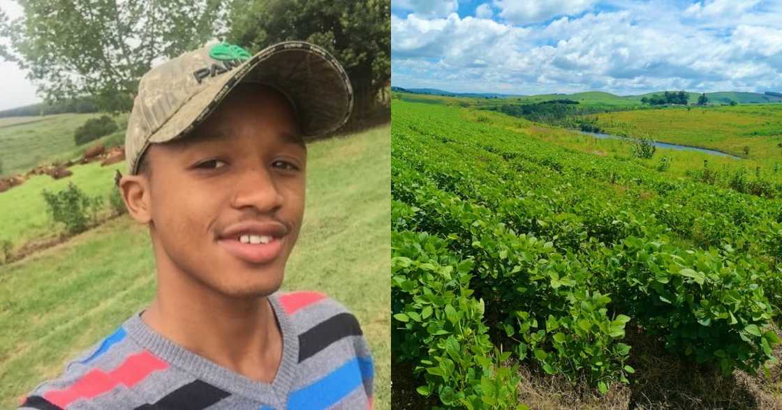 "Blood and Sweat": Young Farmer Celebrates 40 Hectare Land Investment "Blood and Sweat": Young Farmer Celebrates 40 Hectare Land Investment