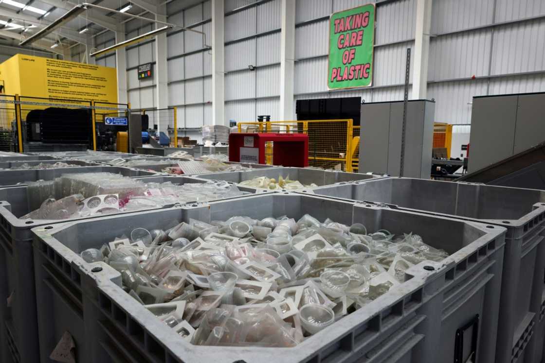 One plank of the environmental plan is not using palm oil or its derivatives One plank of the environmental plan is not using palm oil or its derivatives