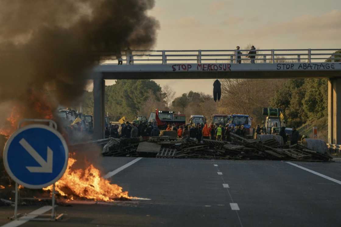 Farmer says the EU-Mercosur deal will flood the market with cheaper alternatives and cause untold damage to their livelihoods Farmer says the EU-Mercosur deal will flood the market with cheaper alternatives and cause untold damage to their livelihoods