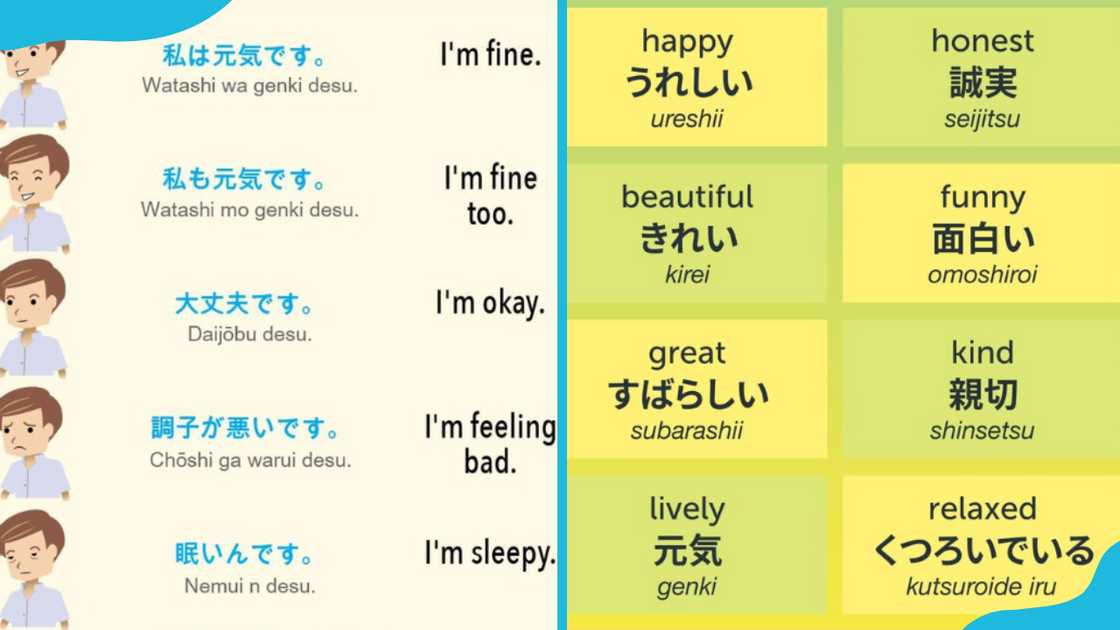 Japanese sentences with English translations