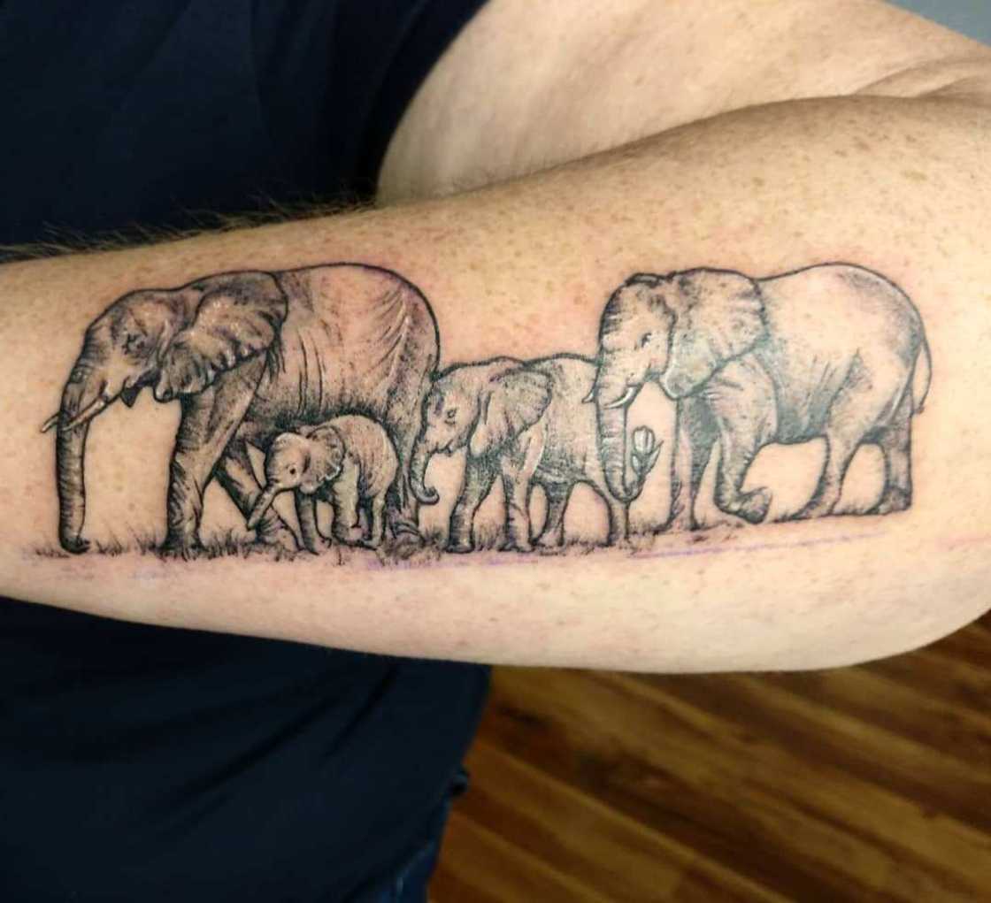 Elephant tattoo Elephant tattoo