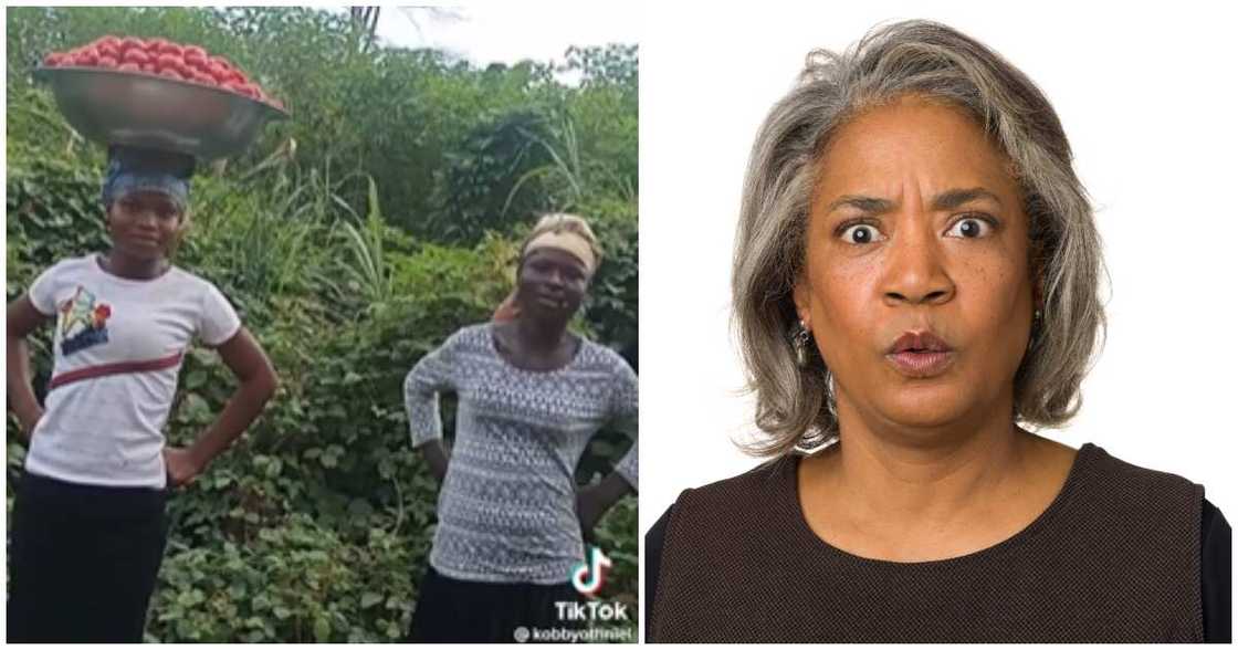 Lady lament struggle to sell basin of tomatoes being sold for just Ghc40 Lady lament struggle to sell basin of tomatoes being sold for just Ghc40