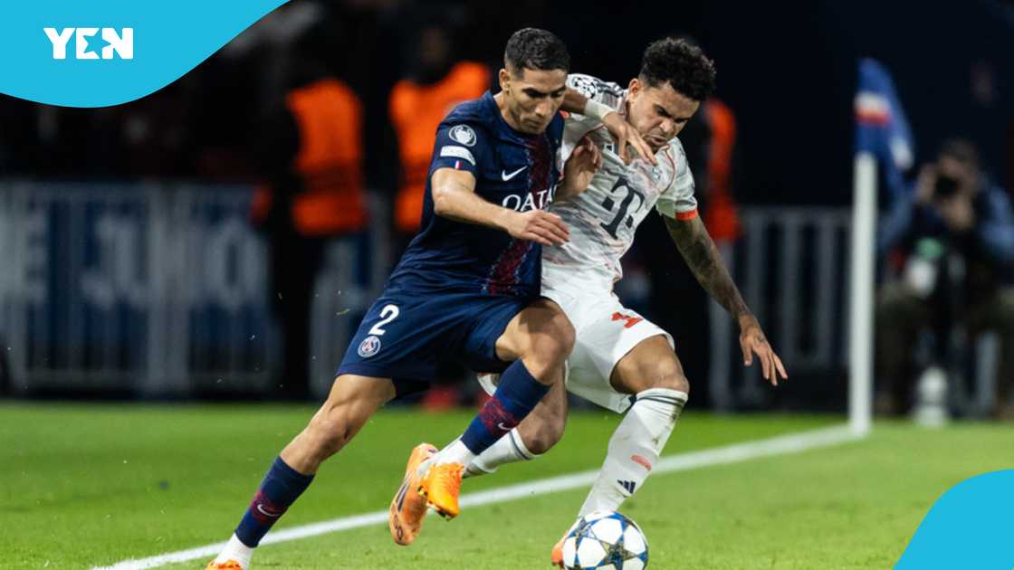 PSG vs Bayern Munich, PSG, Bayern Munich, Nimbus Pronos, mysterious cat, Cat predicts Champions League winner, Champions League predictions, PSG vs Bayern Munich preview.