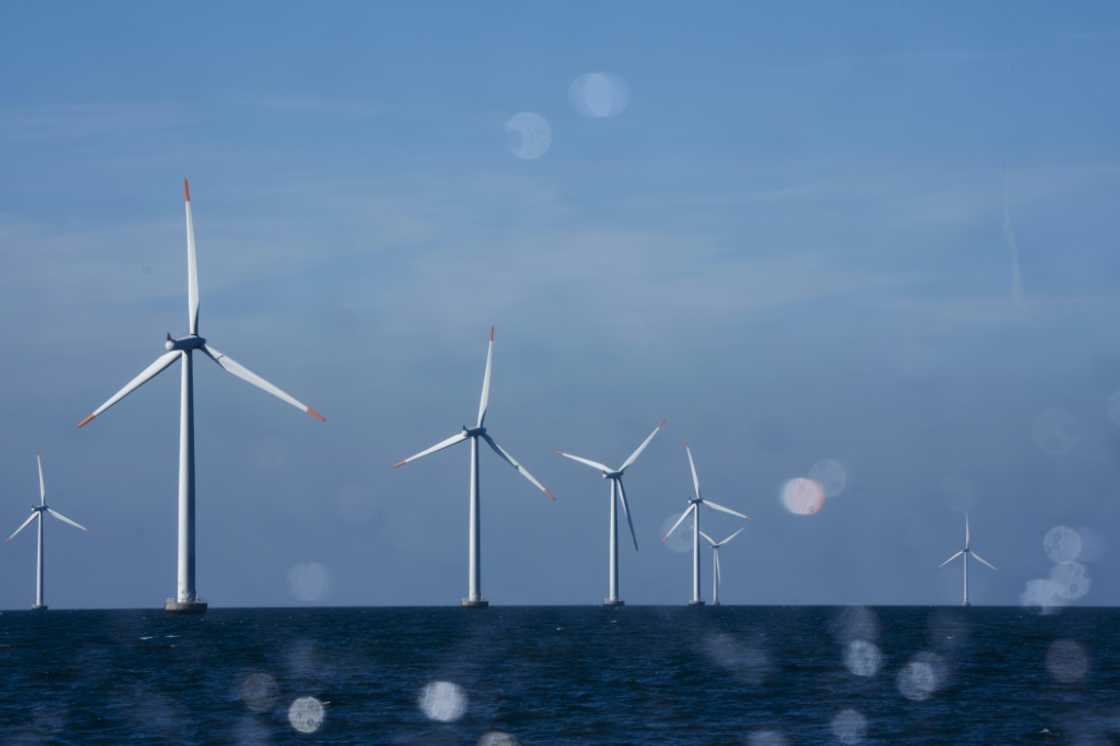 Offshore wind giant Orsted said its global workforce would fall from 8,000 today to 6,000 by the end of 2027