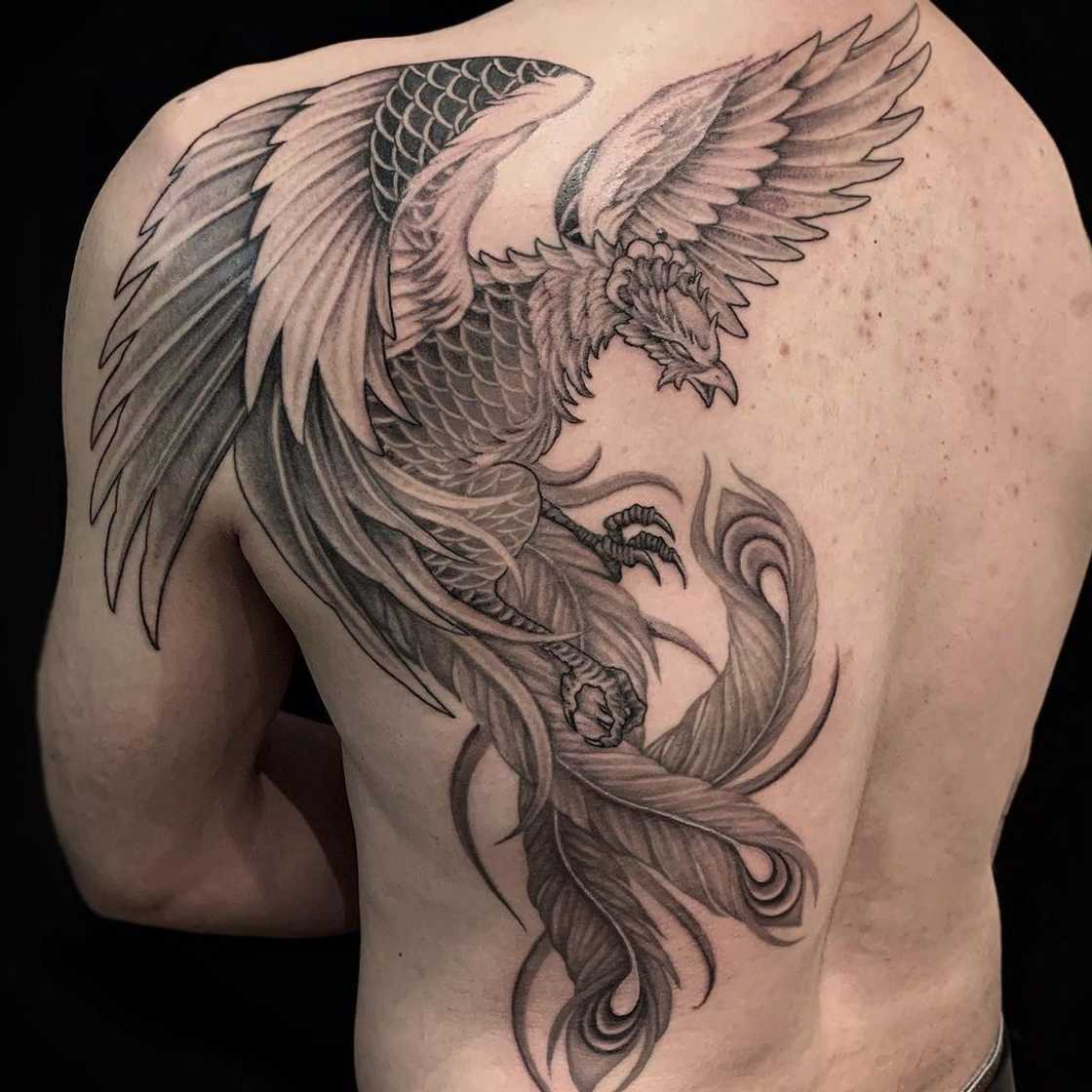 phoenix tattoo phoenix tattoo