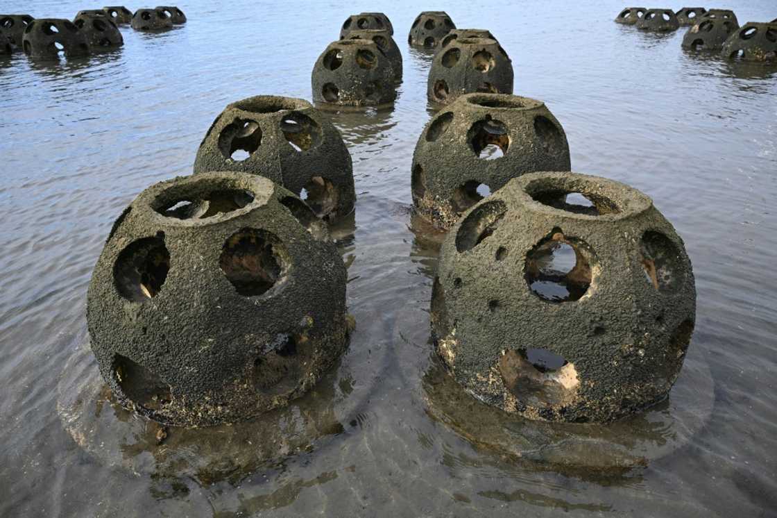 Scientists hope reef balls like these, in waters near Chula Vista, California, will ultimately help protect the coast from erosion made worse by climate change Scientists hope reef balls like these, in waters near Chula Vista, California, will ultimately help protect the coast from erosion made worse by climate change