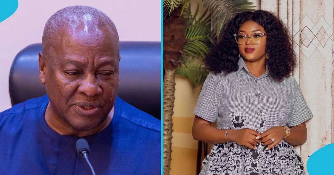 President Mahama, Anne Sansa Daly, Felix Kwakye Ofosu, medical doctor, NHIA board.