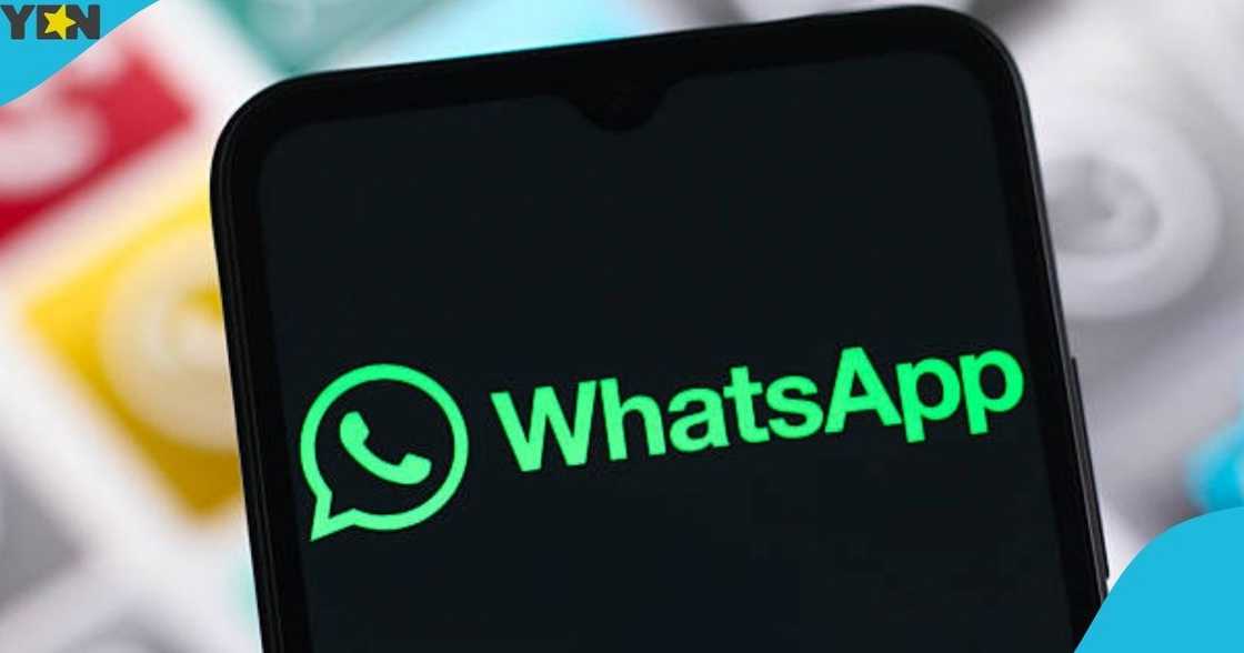 WhatsApp Business Platform, WhatsApp Messenger app, WhatsApp users, WhatsApp charges fees per message. customer service systems, CRMs, and automation tools