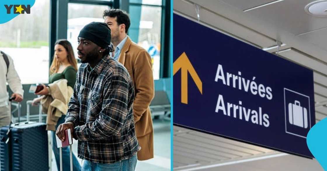 New Zealand, immigration authorities, deportation, foreign nationals, New Zealand border, visit New Zealand New Zealand, immigration authorities, deportation, foreign nationals, New Zealand border, visit New Zealand