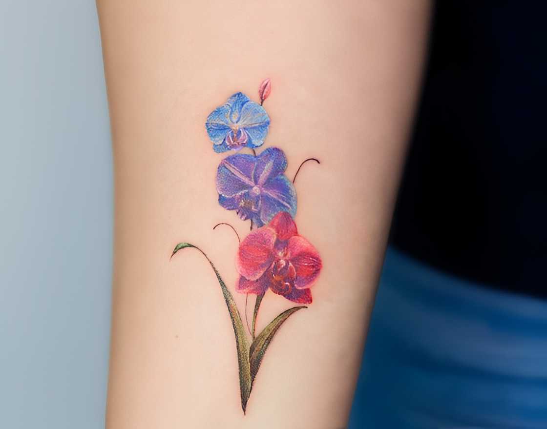 The orchid tattoo