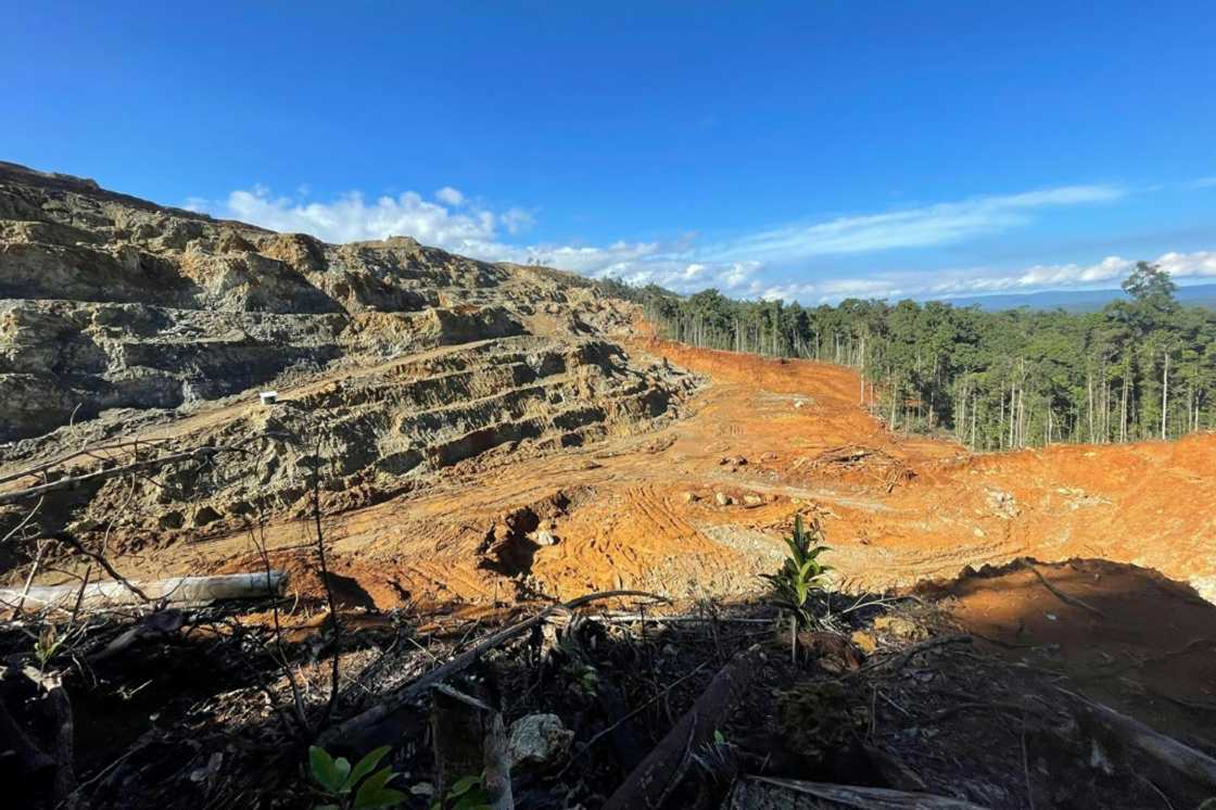 Indonesian environmentalists warned that the EU delay was likely to mean more unchecked deforestation