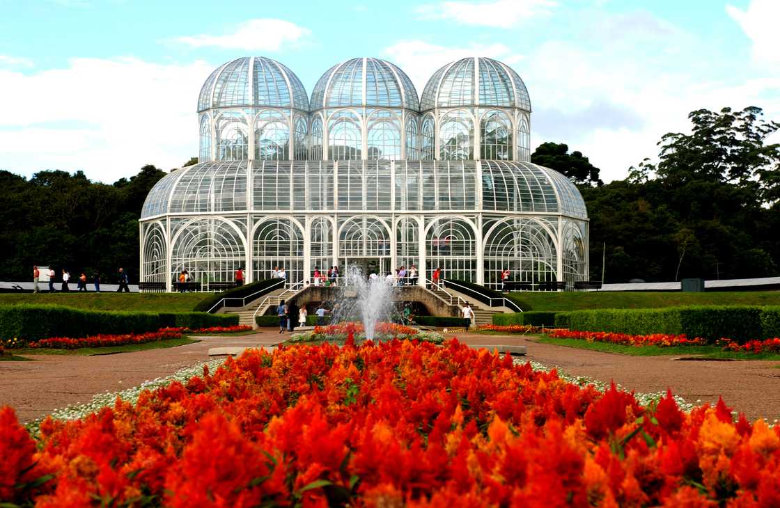 Botanical garden in Curitiba in spring and its flowers.