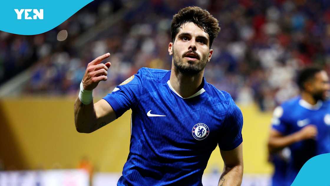 Pedro Neto, Chelsea, Flamengo, Philadelphia. Pedro Neto, Chelsea, Flamengo, Philadelphia.