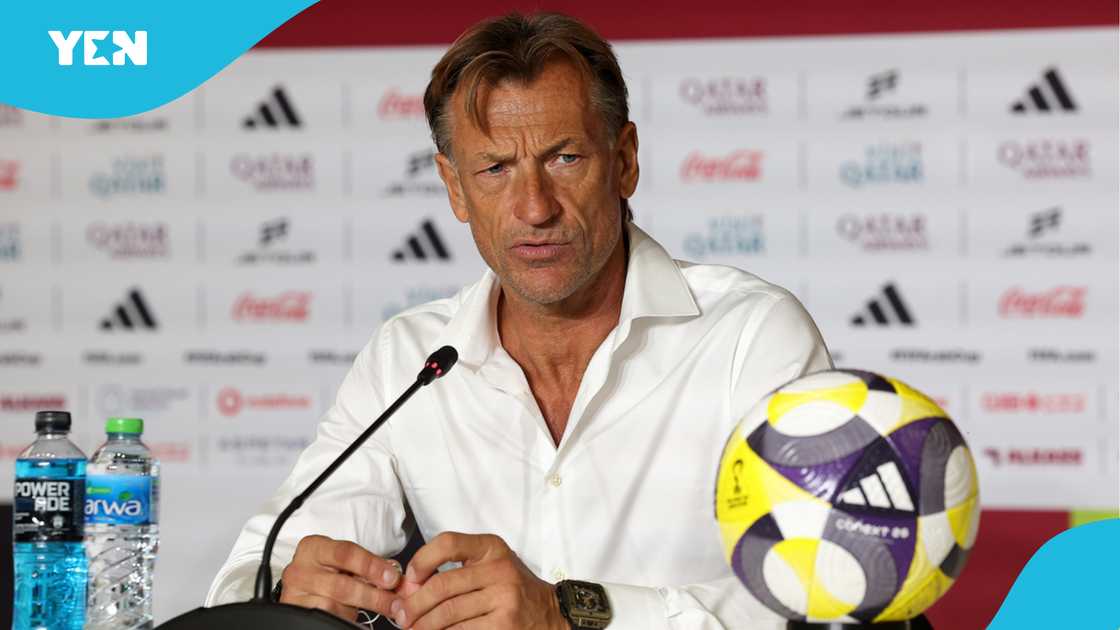 Saudi Arabia Sack Herve Renard 2 Months Before World Cup Amid Ghana Links