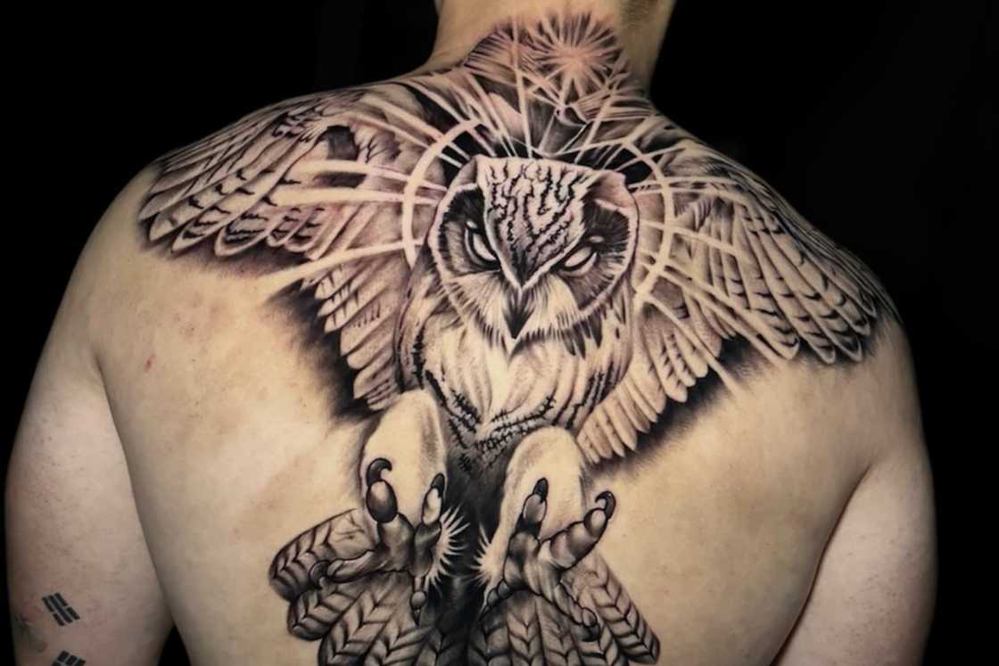 A man has an owl tattoo on his upper and middle back A man has an owl tattoo on his upper and middle back