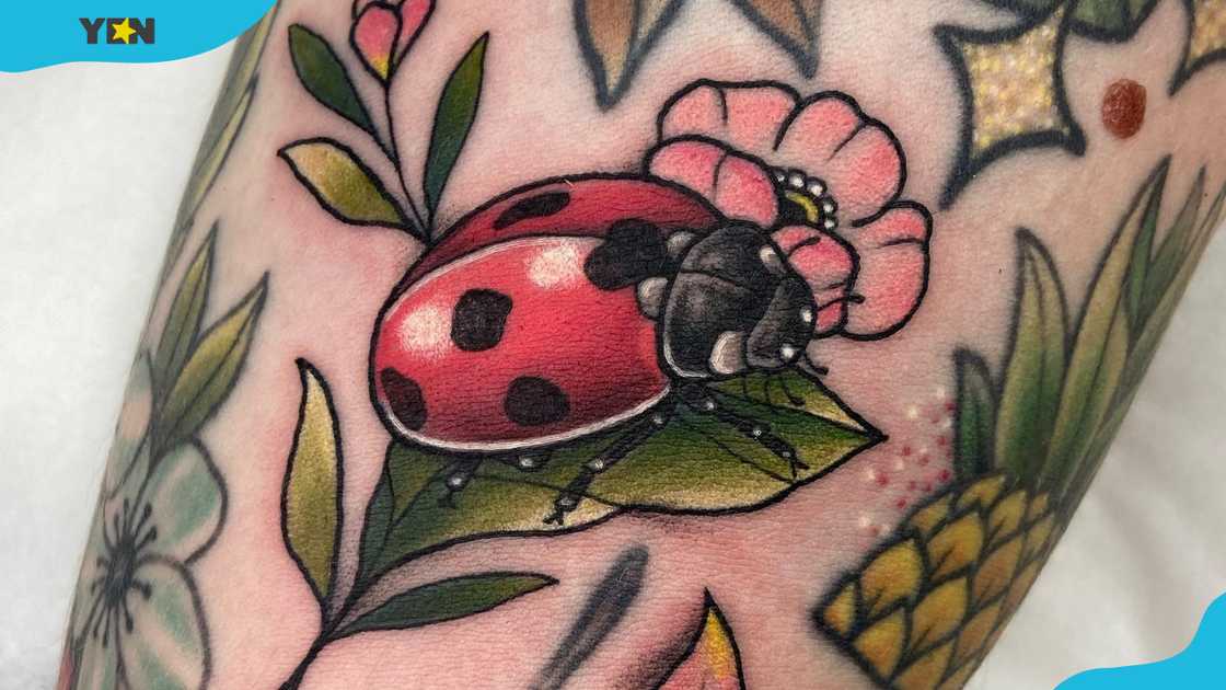 A vibrant ladybug tattoo resting on a leaf