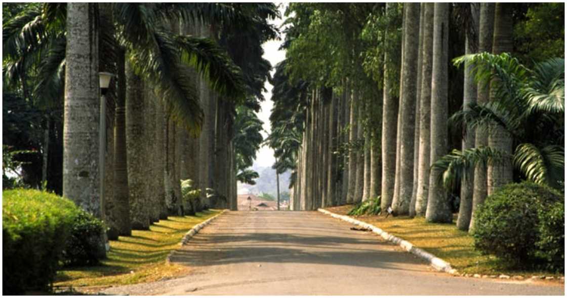 Aburi Botanical Gardens