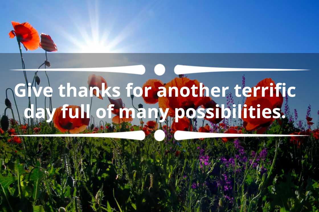 quotes about Tuesdays quotes about Tuesdays