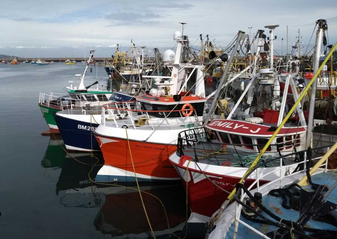Fishing represents a fraction of Britain's economy, but the island's rich maritime history still stirs passions Fishing represents a fraction of Britain's economy, but the island's rich maritime history still stirs passions
