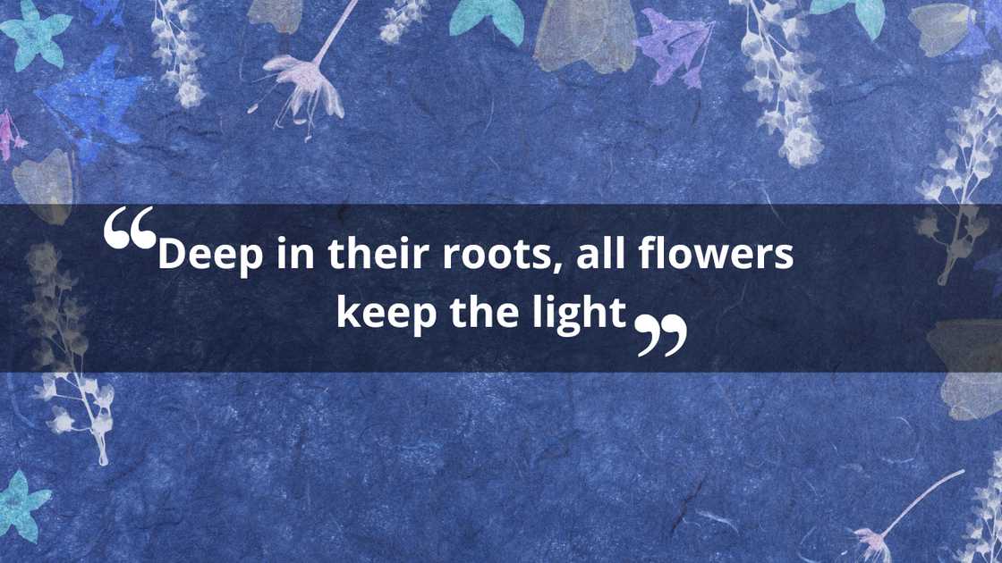 Inspirational quotes about flowers