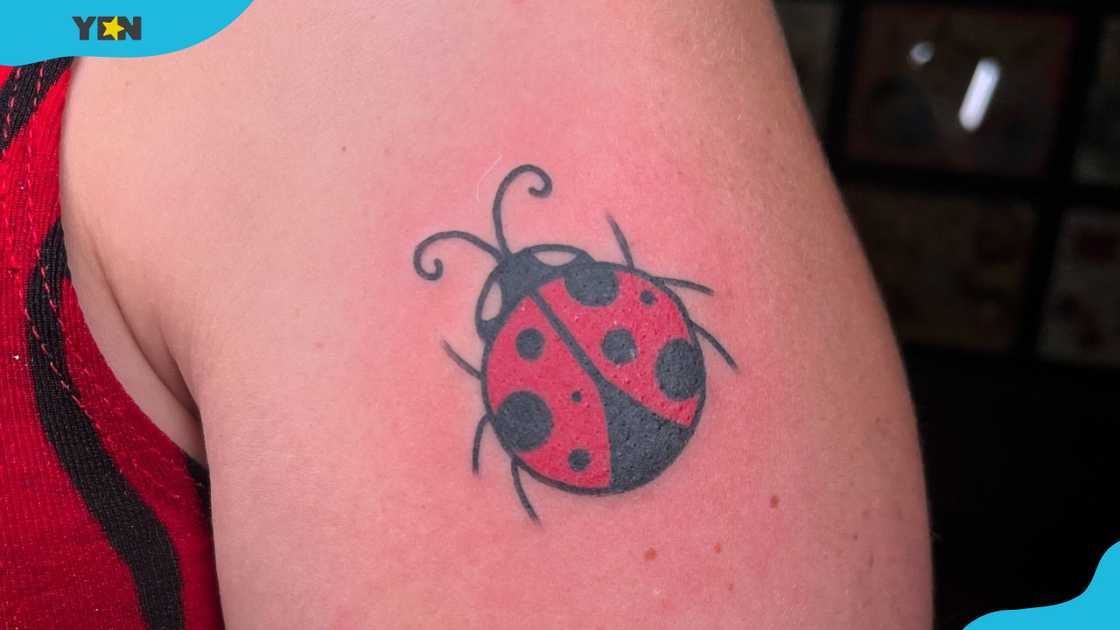 A bold and vibrant ladybug tattoo on the upper arm