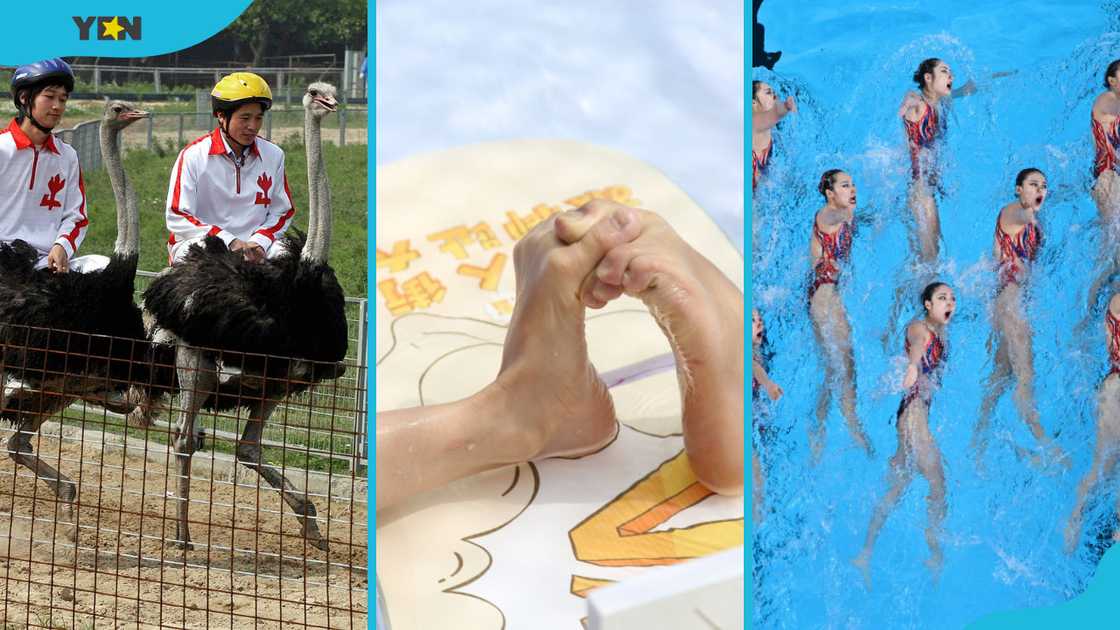 Weirdest sports: Ostrich racing, toe wrestling, and synchronised swimming