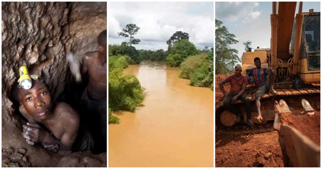 Okatakyie Afrifa, #StopGalamsey Protest, Illegal Mining, Atiwa Forest Okatakyie Afrifa, #StopGalamsey Protest, Illegal Mining, Atiwa Forest