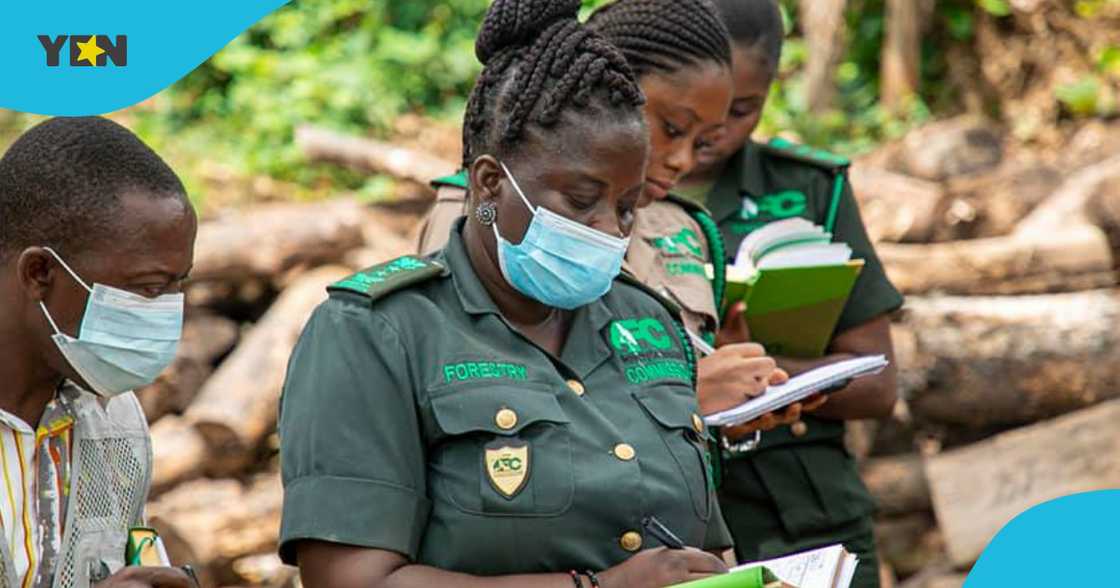 forestry officials, trespassing, achimota forest reserve, man caught defecating, public punishment forestry officials, trespassing, achimota forest reserve, man caught defecating, public punishment