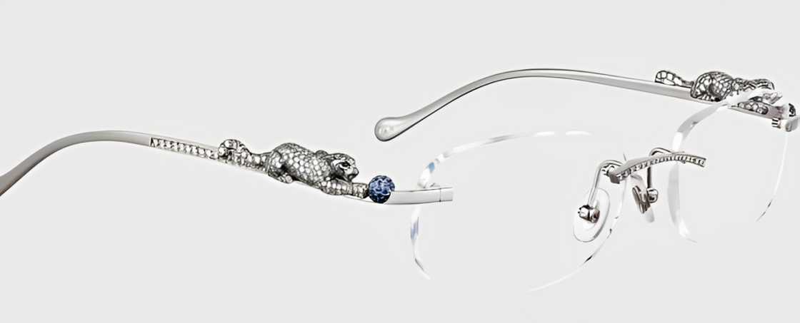 Cartier Panthere glasses Cartier Panthere glasses