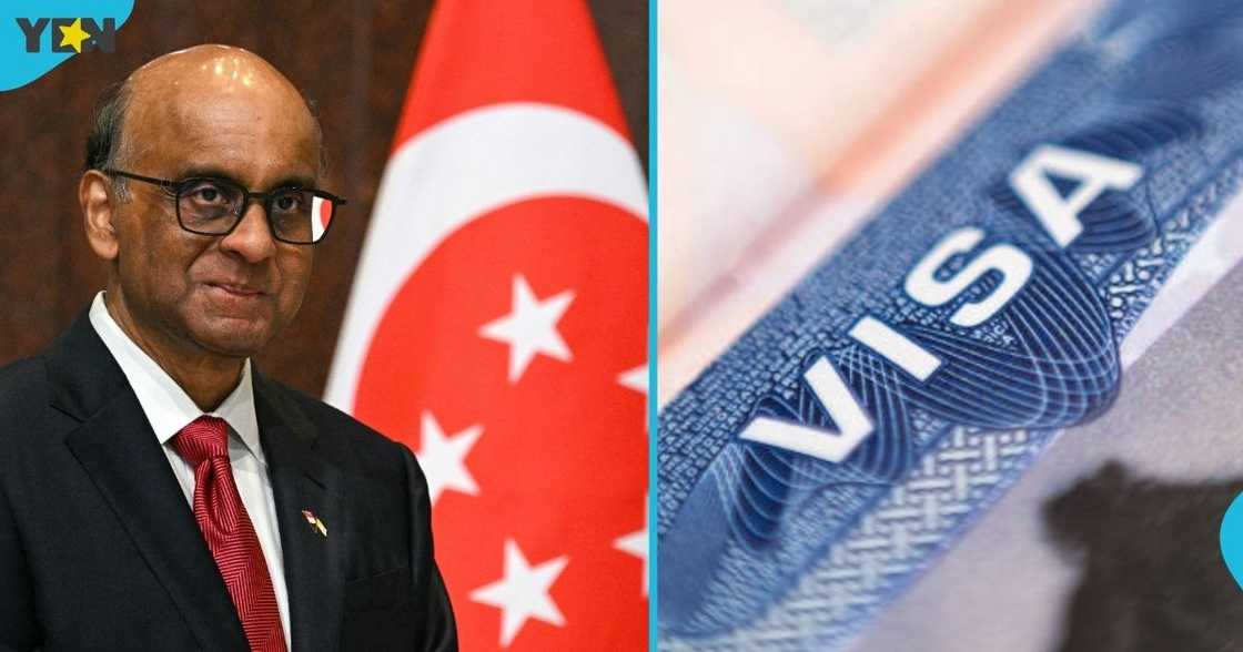 Singapore, Singapore's Immigration and Checkpoints Authority, visitor visas, foreign nationals, visit Singapore