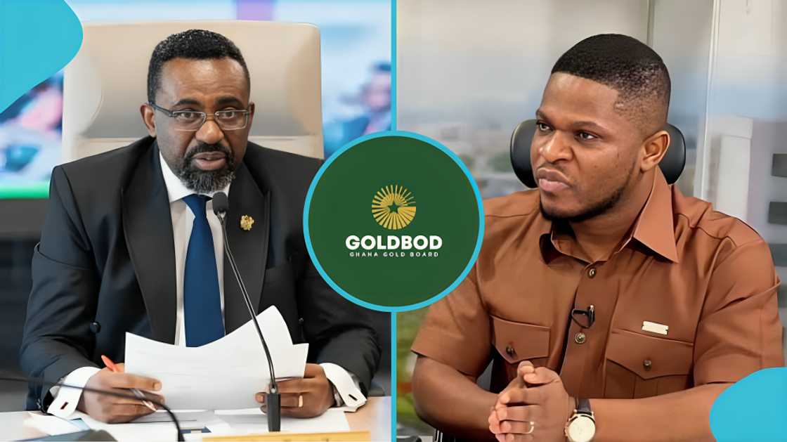 BoG, Governor, Dr Johnson Asiama, GoldBod board, finance, politics, Sammy Gyamfi, people, education, resigns from duty, NDC