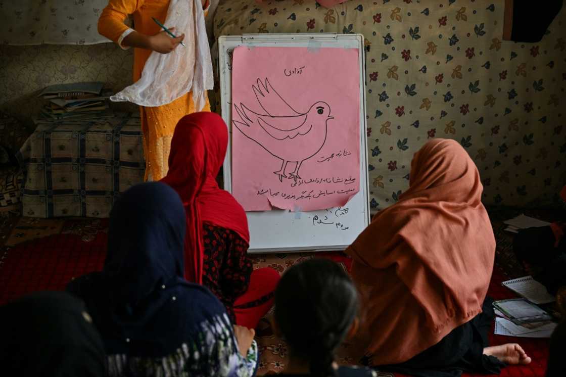 Hundreds of thousands of girls and young women have been deprived of the chance of education since the Taliban returned to power a year ago, but their thirst for learning has not lessened