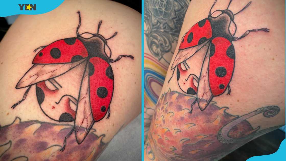 Ladybug tattoo with a human face. Ladybug tattoo with a human face.