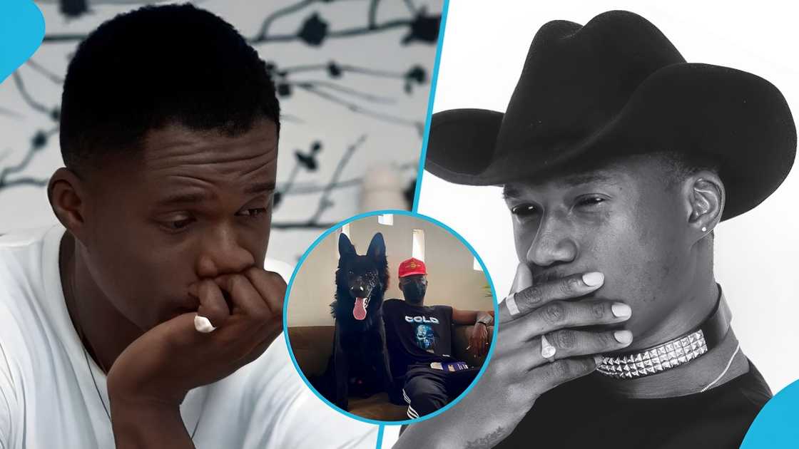 Joey B, Ghanaian rapper, Joey B's dog, Old German shepherd, Joey B celebrates, Ghana music