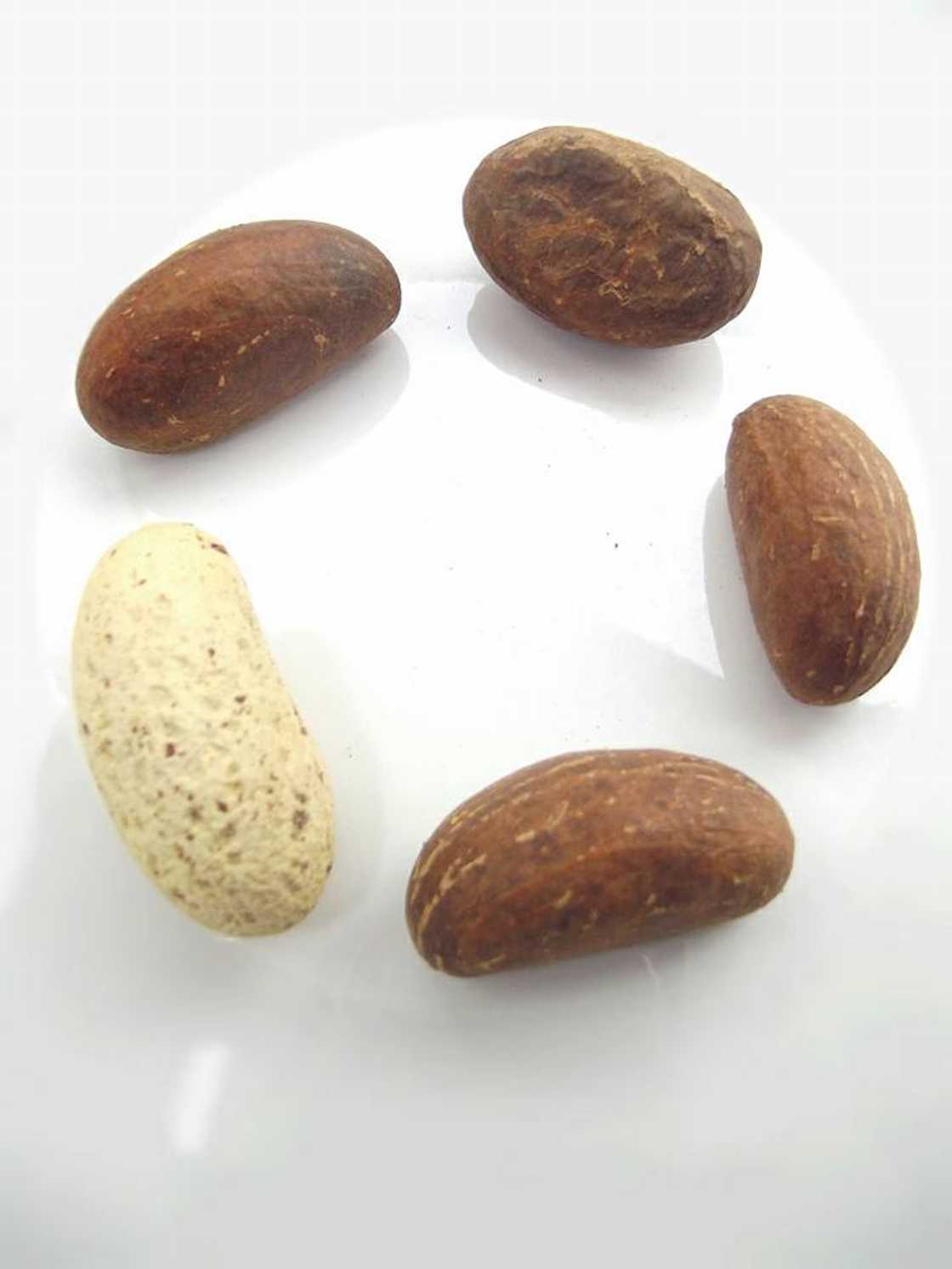 Health benefits of bitter kola and honey Health benefits of bitter kola and honey