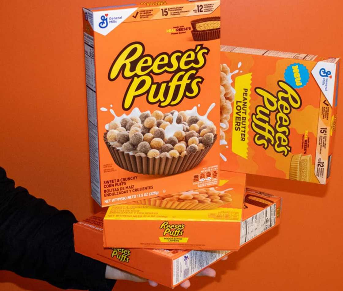 Rees Puffs cereal Rees Puffs cereal
