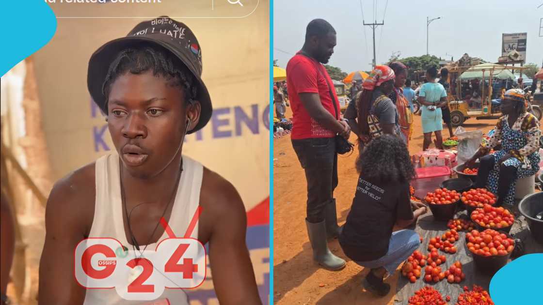 Tomato trader, Ghanaians in Burkina Faso, Burkina Faso shooting, Islamist insurgents, Tomatoes business in Ghana, Tomato traders dead. Tomato trader, Ghanaians in Burkina Faso, Burkina Faso shooting, Islamist insurgents, Tomatoes business in Ghana, Tomato traders dead.