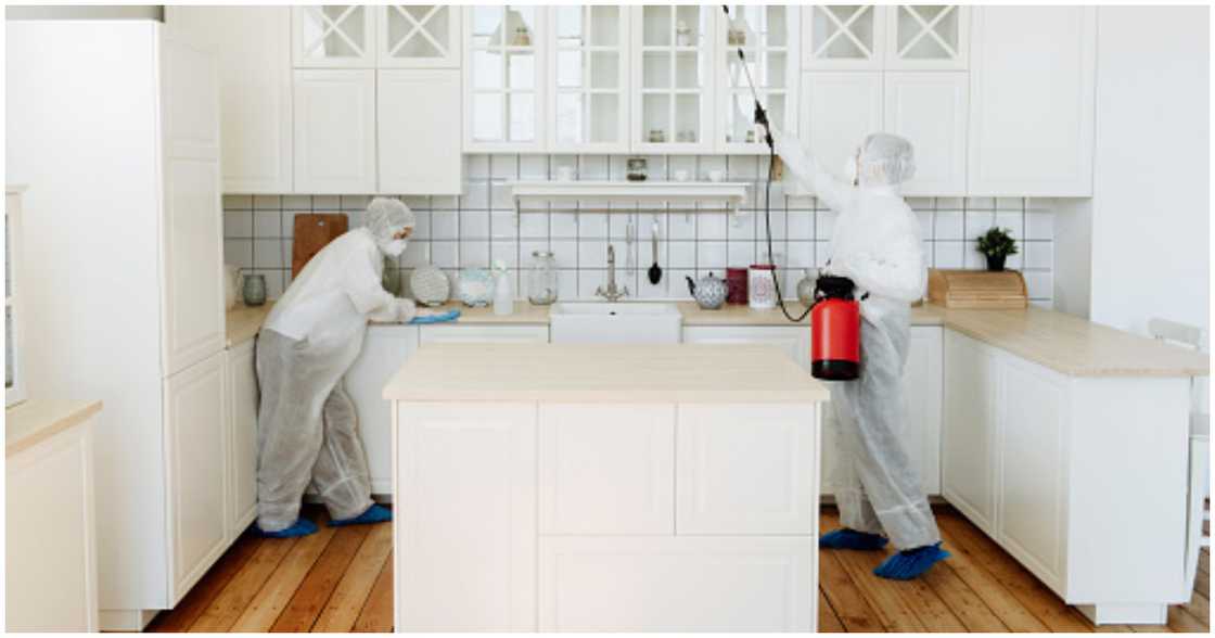 Disinfecting the home against pest infestation Disinfecting the home against pest infestation