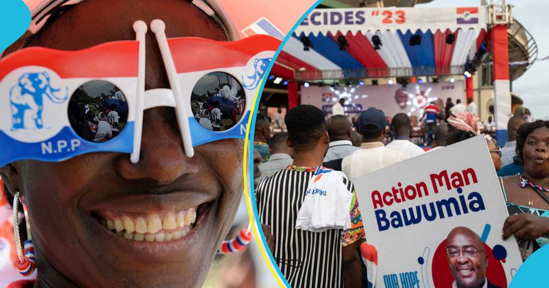 Collage of NPP supporters Collage of NPP supporters