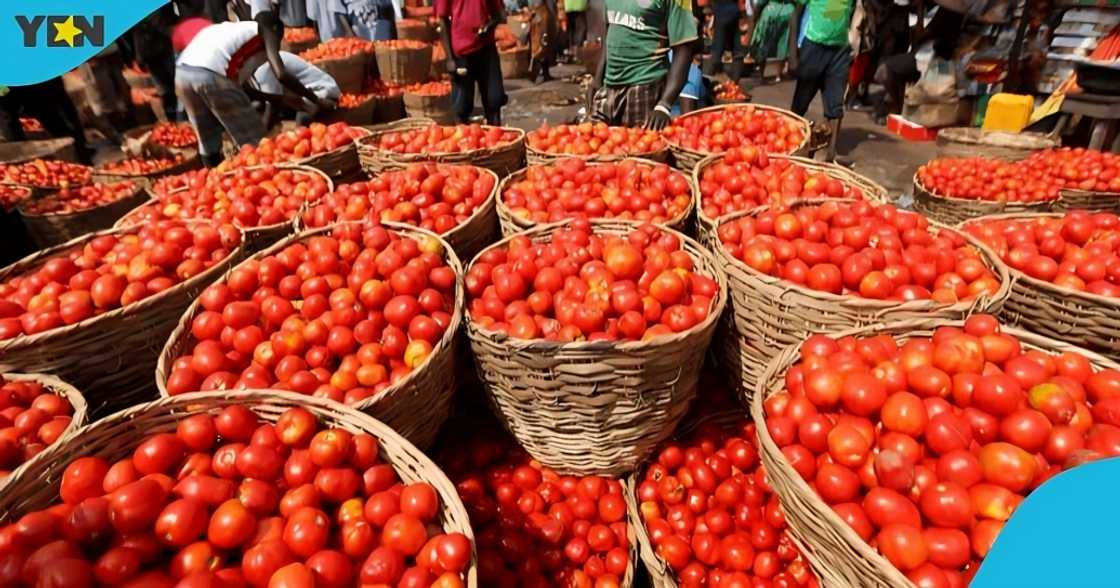 Kumasi, Accra, Burkina, Ouagadougou, Terrorist, Attack, Widow, Ghana