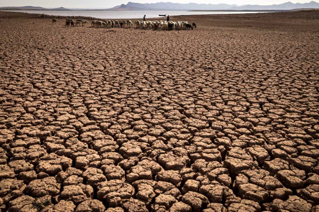 Cracked earth at a dam in Morocco's Ouled Essi Masseoud village, south of Casablanca, amid the country's worst drought in at least four decades, seen on August 8, 2022 Cracked earth at a dam in Morocco's Ouled Essi Masseoud village, south of Casablanca, amid the country's worst drought in at least four decades, seen on August 8, 2022