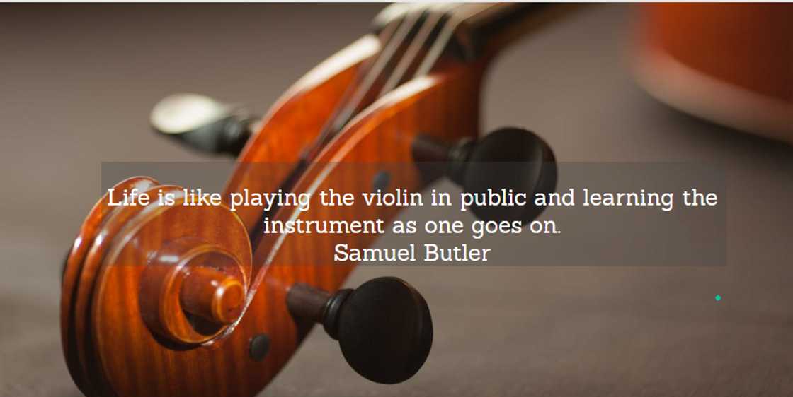 wise sayings about life wise sayings about life