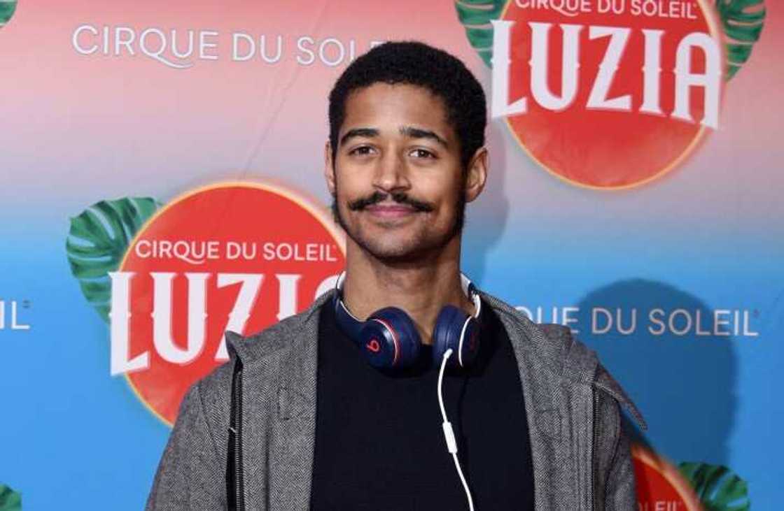 alfred enoch harry potter alfred enoch harry potter