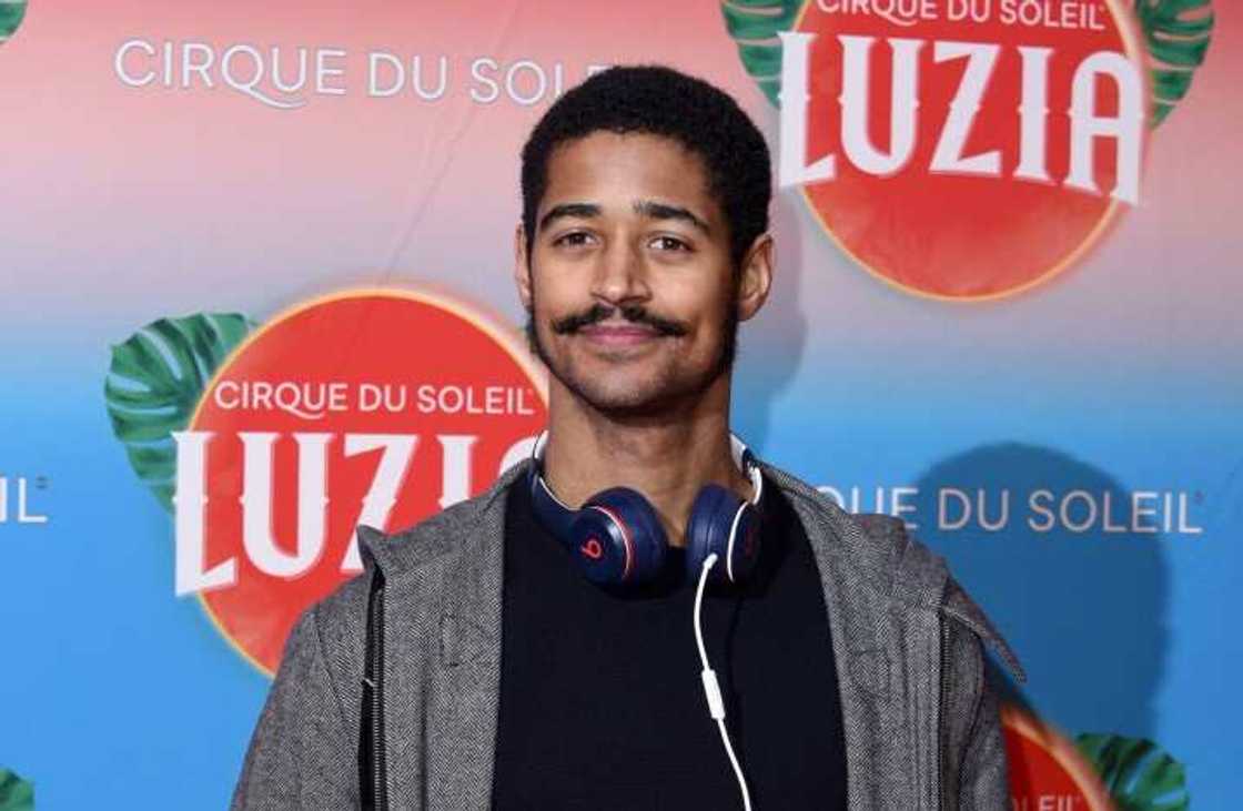 alfred enoch harry potter