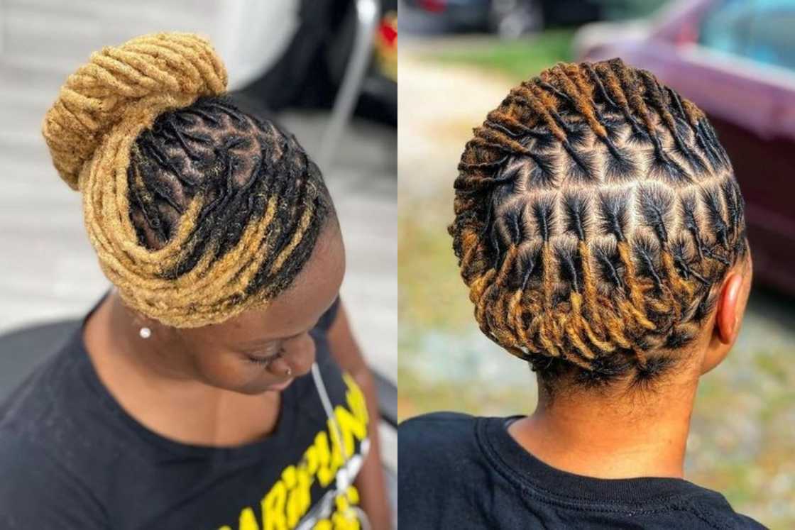 starter locs starter locs