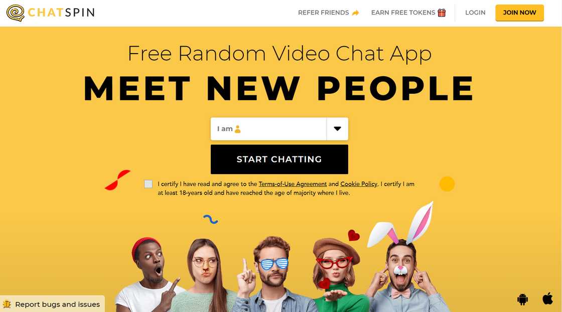 ChatSpin's web homepage. ChatSpin's web homepage.