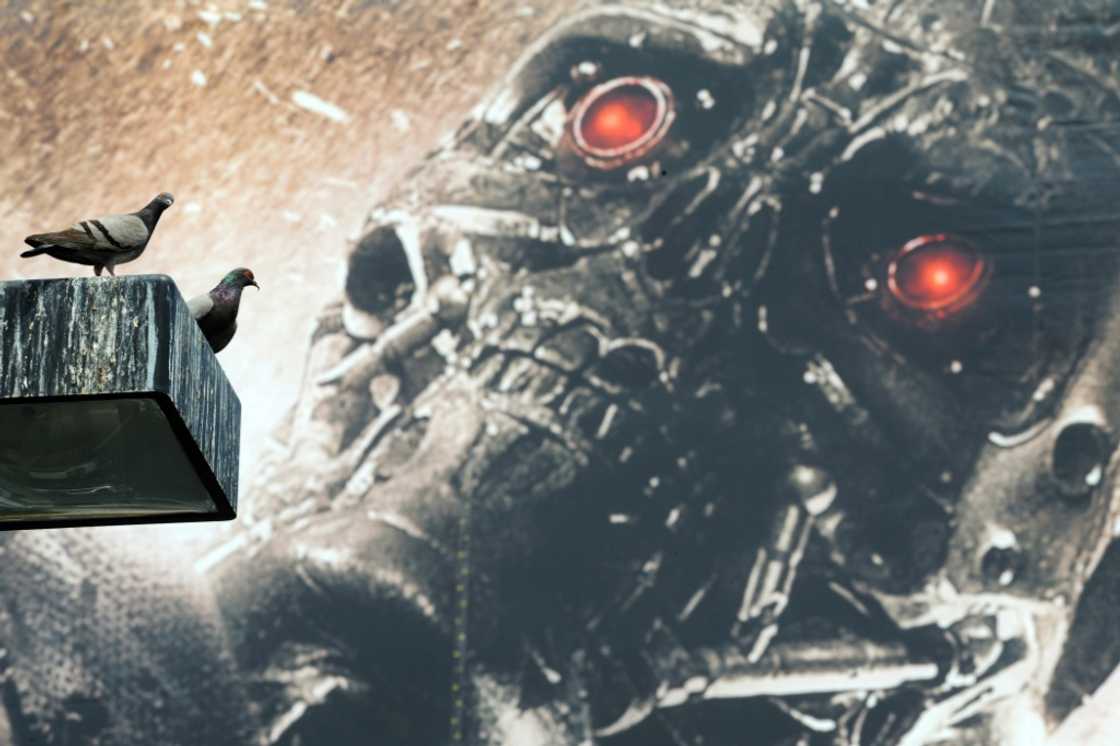 The Stop Killer Robots group has explicitly dismissed the Terminator scenario The Stop Killer Robots group has explicitly dismissed the Terminator scenario