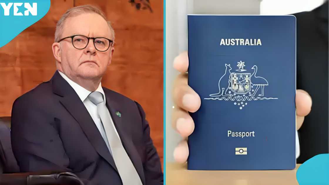 Australian citizenship, citizenship by conferral, Australian permanent residents, New Zealand citizens in Australia, Special Category visa, subclass 444 visa, Australian citizenship eligibility, Australian residency requirements, presence in Australia